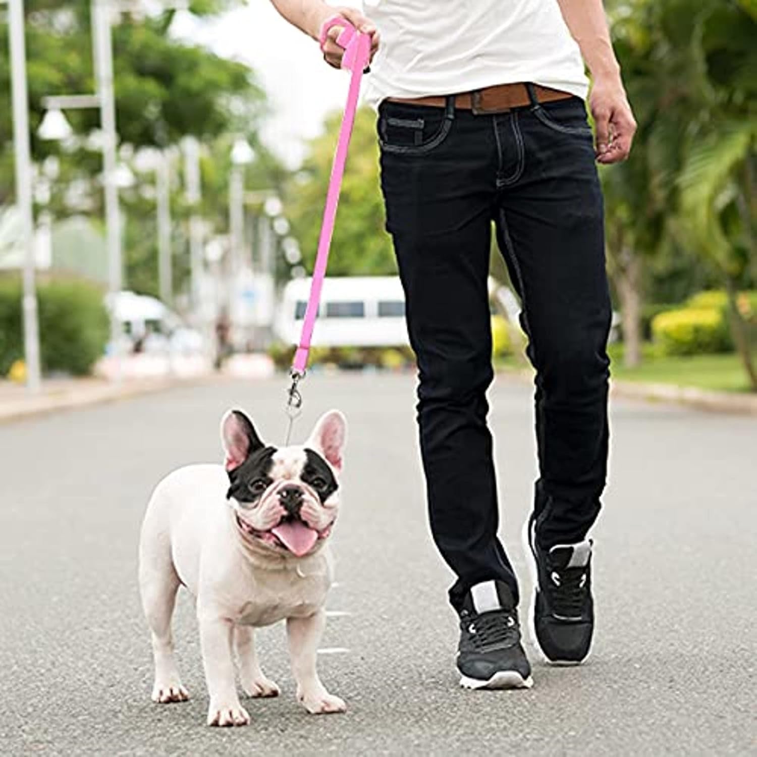 - Long Dog Leash - 30 Ft Pink Nylon Dog Training Leash for Recall & Obedience